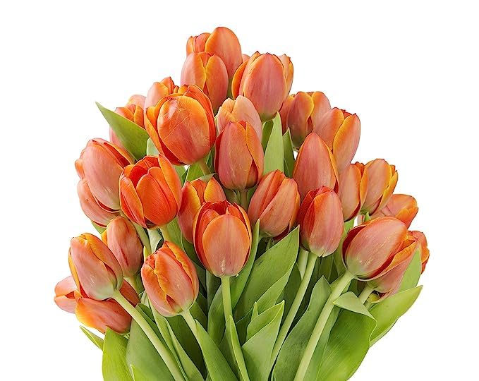Image of KaBloom-20 Orange Tulip Bouquet,Flowers for Valentine, Mother's Day