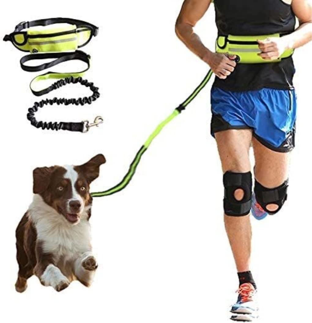 Guinzaglio Per Cani Guinzaglio Per Cani Da Corsa In Nylon A Mano Libera Prodotti Per Animali Domestici Collare Per Imbracatura Guinzagli Da Jogging Regolabili In Vita Guinzaglio Per Cani Regolabile(Bl