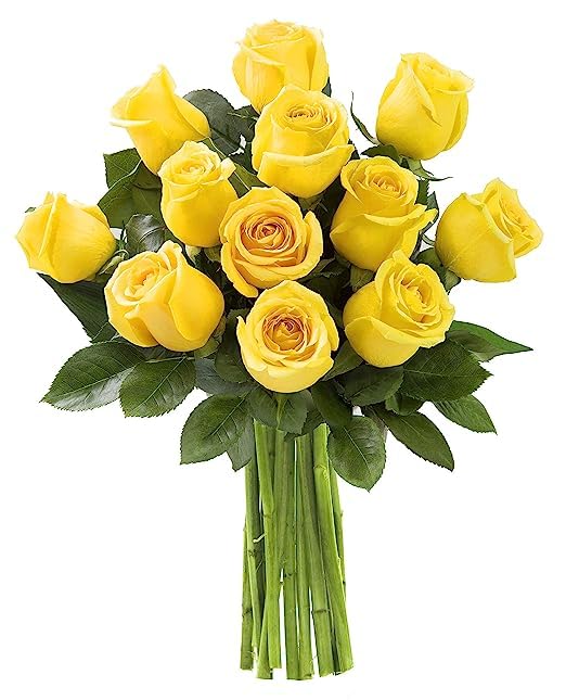 KaBloom Prime Next Day Delivery  Colección de cumpleaños  12 rosas amarillas de alta calidad  Regalo para cumpleaños, condolencias, aniversario,