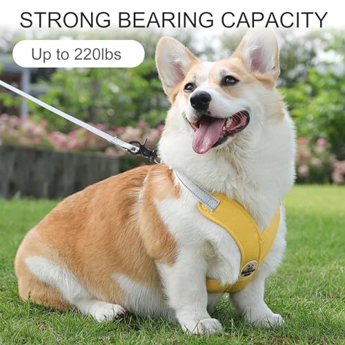 2 Stück Edelstahl Karabinerhaken mit Drehgelenk, Karabiner für Hundeleine Wirbelkarabiner, Hunde Karabiner Robusten Wirbel Schnappkarabiner für Hundehalsband Schlüsselbänder