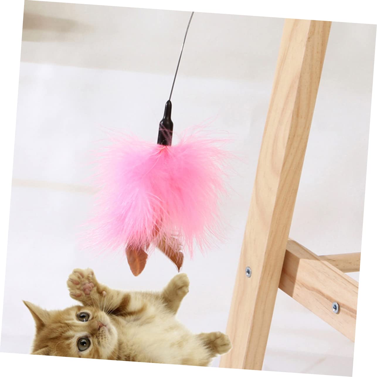 TOYANDONA 2 Pièces Interactifs pour Cannes à Plumes Amusantes pour Instinct de Chasse de Votre Chat Accessoires de Jeu pour Chat