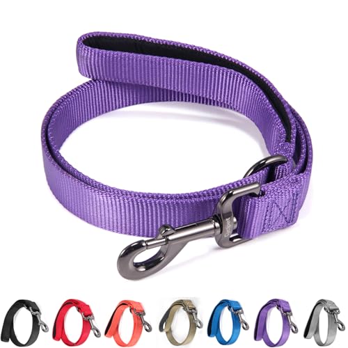 Cyclpet Advanced 4 Feet Dog Leash with Padded Handle-Sturdy Nylon Dogs Leads for Medium Large Dogs Walking,Training,Hiking,Jogging,Camping,etc (Ultra Violet, Large: 4 Feet Length × 1 Inch Width)