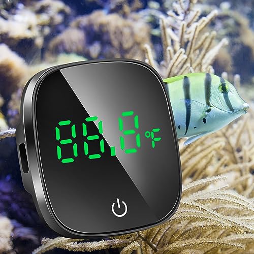 10 Best Digital Aquarium Thermometers to Keep Your Fish Happy & Healthy A Buyer's Guide Furry
