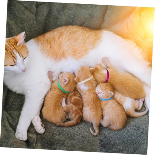 12 Stück, Welpen Id Halsbänder, Kitten Halsbänder, Welpenhalsbänder Für Züchter, Welpenhalsband, Welpen Halsband, Einstellbar, Weich, Mehrfarbig, Für Neugeborener Welpen Kitten Haustie
