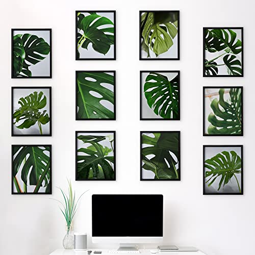 HOMIK A3 Photo Frames Pack of 12 - Picture Frames A3 Economy Pack of 12 - 7