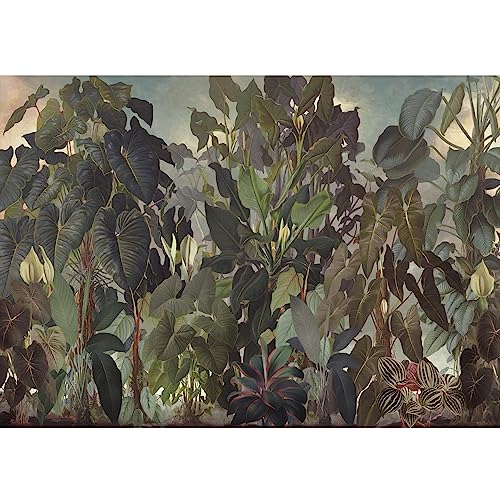 Fotomurales Selva 352 x 250 cm Fondo De Pantalla XXL Moderna Decoración De Pared Sala Cuarto Oficina Salón Hojas tropicales Verde N9126011a