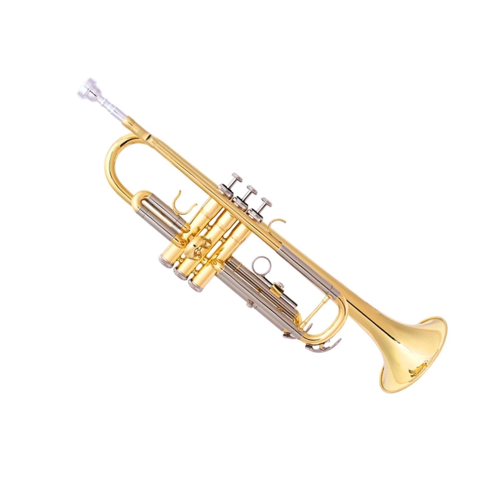 Professional Trumpet Trompeta en Sib para principiantes