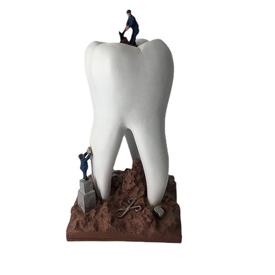 Amazon.co.jp: 歯科医の置物の樹脂工芸品、パーソナライズされた