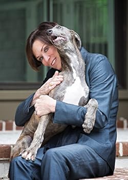 Hardcover Dogs: The Family We Choose Book