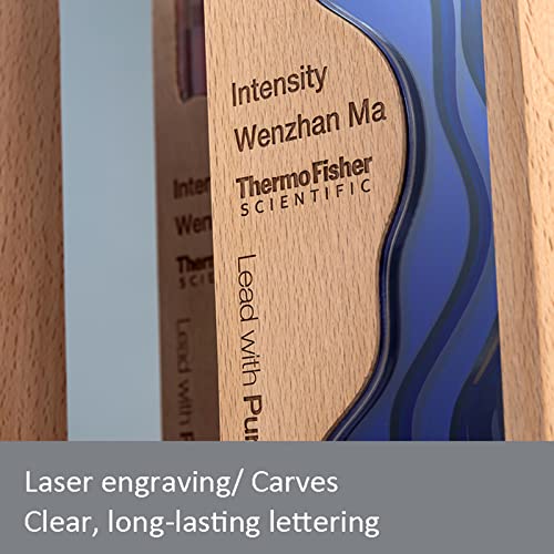 Prêmio Personalizado de Madeira/Troféu Troféu Taça Troféu Acrílico ou Troféu Vencedores Conteúdo de