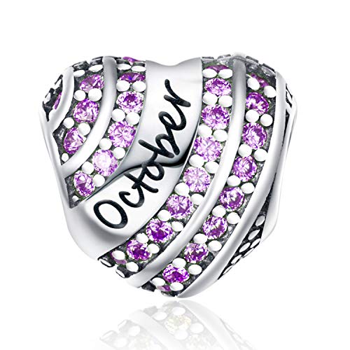 YOUFENG Jewellery Breloques Pandora Mixte Femme Fille 0.925 Argent sterling Oxyde de Zirconium Cover