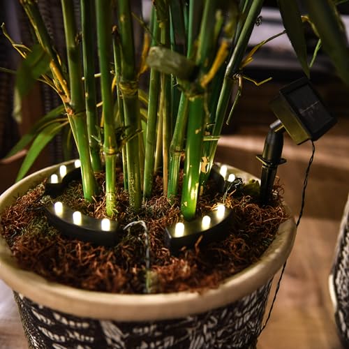 Spetebo Lot de 5 éclairages solaires à LED pour pot de fleurs avec 8 fonctions - Blanc chaud - Éclairage de jardin - Spot pour plantes - Lampe solaire...