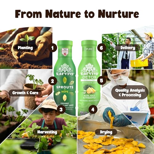 Karviva 6-Day Green Cleanse Pack 3 Bottles of Pure & 3 Bottles of Hope, Non GMO, No Caffeine Juice Beverages Gentle Cleanse, Anti-Inflammatory, Digestive Health Superfood Drinks, Detox Wellness Drinks with Natural Electrolyte and Antioxidants, No Caffeine Energy Booster Juice, Non GMO, Low Glycermic Index, Detox Juice, Organic, Gluten Free Fruit Juice Beverages - Image 4