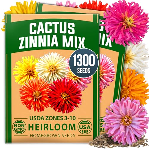 Image of HOME GROWN Cactus Mix Zinnia Seeds, 1300 Seeds (650 Seeds, 2 Pack), Zinnia elegans