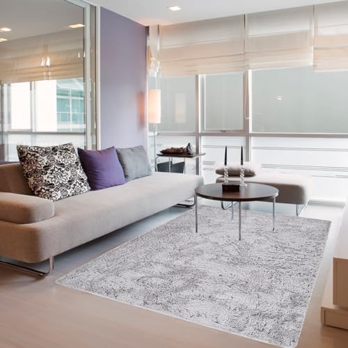 NINGBAI Alfombra Pelo Largo Salón 200 x 280 cm Alfombras de área, Alfombras Interior de Decoración Lavables y Antideslizante, con Cenefa para Salon Habitacion Exterior Pasillo, Gris