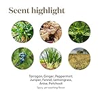 Digize Essential Oil 5ml by Young Living Essential Oils - Image 5