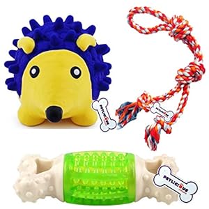 PETLICIOUS & MORE® Royal Dogs Squeaky, Rope & Chew Toy Combo for Young Dogs & Puppies (Color May Vary, Pack of 3)
