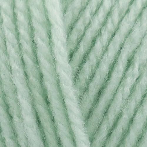 Stylecraft Special DK 100g (Tea Green 2189)