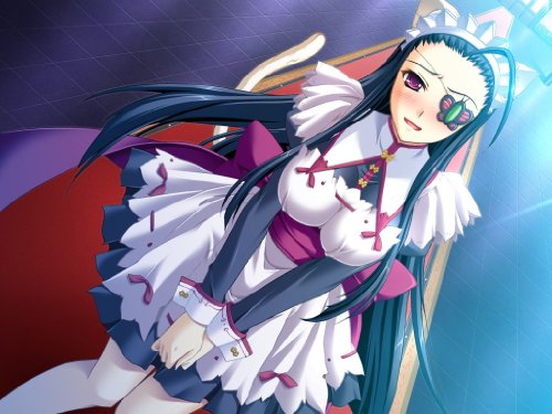 真・恋姫†夢想 ～乙女繚乱☆三国志演義～ 魏編の関連画像2