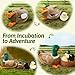 OUOZZZ Duck Stuffed Animals with 3 Ducklings and A Duck Nest Inside-Mallard Duck Plush Toys for 3 Year Old Girls Boys Birthday Gifts Toddler Christmas Party Decor