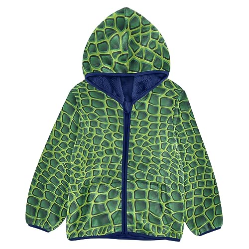 Image of Aflyko Boys Fleece Coat Blue Zip-Up Hoodie Girls Outerwear Kids Hooded Jacket