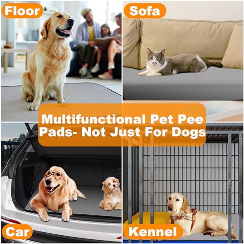 2 Stück waschbare Hunde Pee Pads wasserdichte Wiederverwendbare Pet Training Pads großer Absorption, schnell trocknende Wiederverwendbare Welpen Pads für Boden, Sofa, Töpfchen, Käfig (45*60cm)