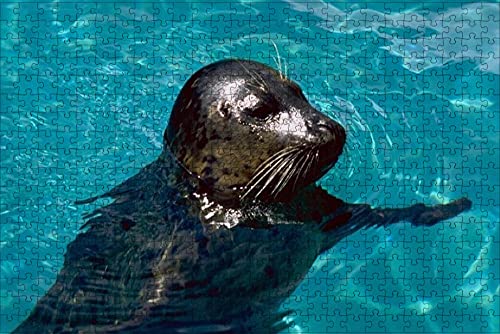 Bullglesup 1000 Teile Puzzle Für Erwachsene - Breakfast Motiv | Mit Buchstaben-Hilfe & 1:1 Poster