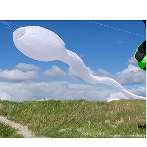 Life's a Breeze Tadpole Windsock Flown From Telescopic Flag Pole Camping &Caravan.Sperm Windsock