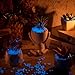 Landical 40000 Pieces Glow in The Dark Rocks Aquarium Luminous Gravel Pebbles Craft Small Landscaping Glow Sand Stones for Fish Tank Potted Plant Succulents Halloween Decor, 2.2 Lb/ 1 kg (Dark Blue)