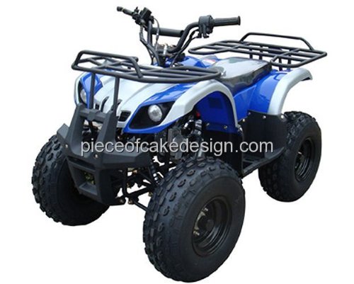 ATV cake topper edible cake topper for birthdays