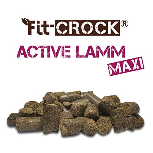 cdVet Fit-Crock Hundefutter trocken Active Lamm Maxi 3 kg, getreidefrei