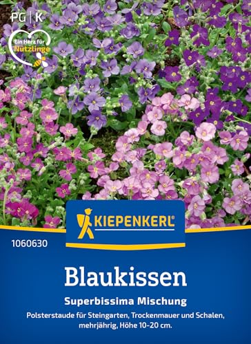 Kiepenkerl Blaukissensamen Superbissima Mischung 1060630 - Polsterstaude...