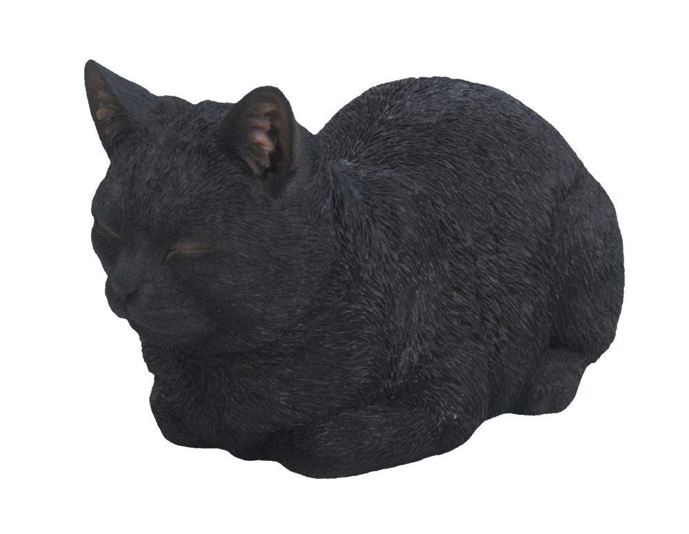 Vivid ArtsXRL-DC31-B Dreaming Cat, Black, Size B