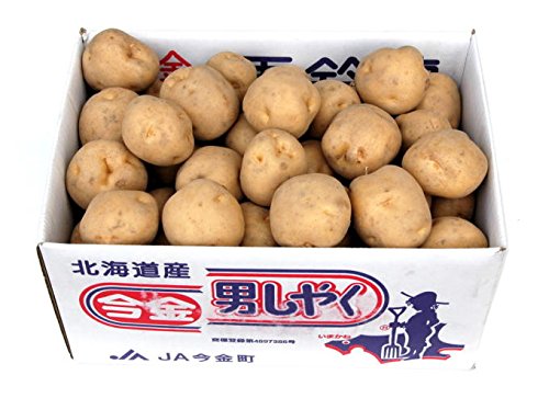 北海道産 じゃがいも 【超希少品】★早出し手掘り★ 今金男爵 Lサイズ JA今金(今金農協)正規品10kg 北海道産 じゃがいも 【超希少品】★早出し手掘り★ 今金男爵 Lサイズ JA今金(今金農協)正規品10kg