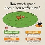 Vital Farms Pasture-Raised Eggs image 5