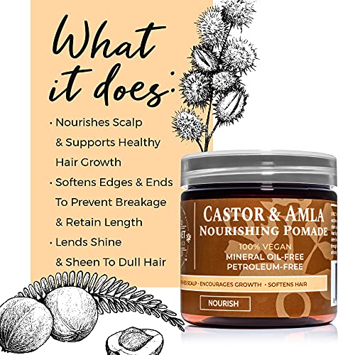 Castor and Amla Pomade Qhemet Biologics routine coiffage afro