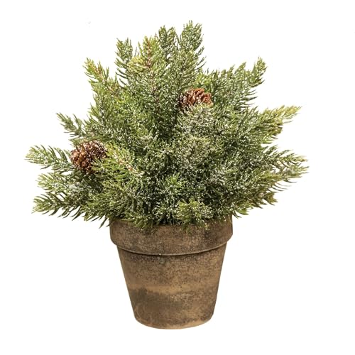 Frosted-Spruce-Sphere-wPot-9-Green Frosted Spruce Sphere wPot 9 Green