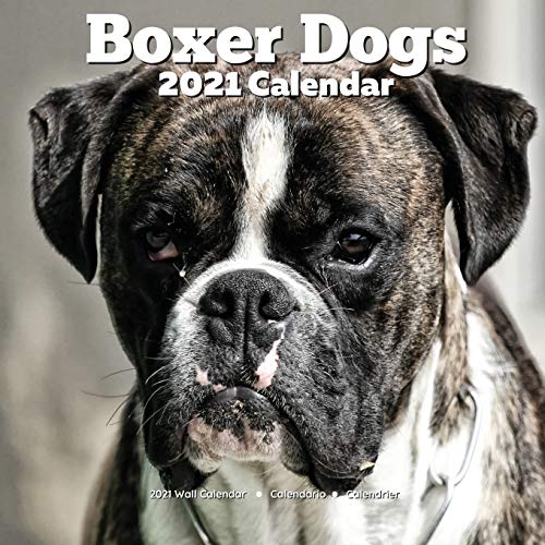 Télécharger 2021 Boxer Dog Wall Calendar: Lover Owner Gifts Livre eBook France