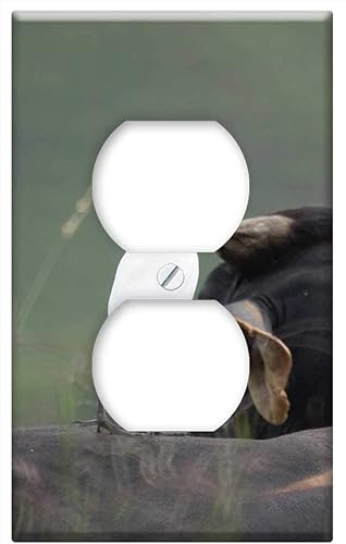 Switch Plate Outlet Cover - Animals The Field Armenia Quindio Colombia 1