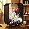 biOrb Life 15 Acrylic 4-Gallon Aquarium with Multi-Color Remote-Controlled LED Lights Modern Compact Tank for Tabletop or Desktop Display, Black
