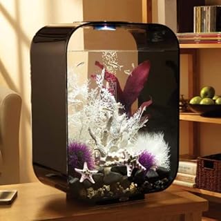 biOrb Life 15 Acrylic 4-Gallon Aquarium with Multi-Color Remote-Controlled LED Lights Modern Compact Tank for Tabletop or Desktop Display, Black