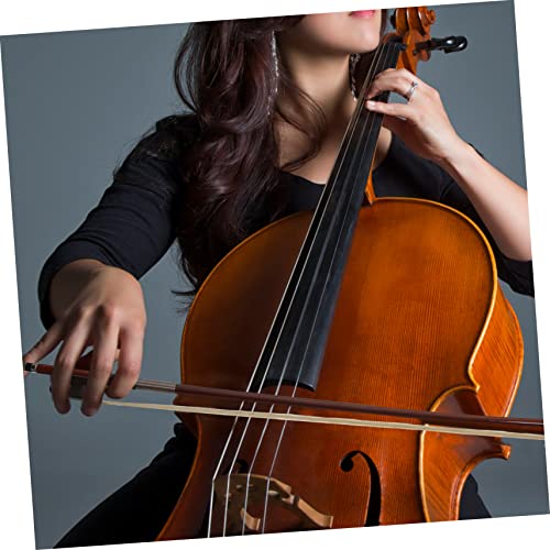 BIUDECO 2 `F̋| y n̖т̋| ~[WJANZT[ hbT[ y  ṽ`F| pIȃ`F| т̃`F| `F̕i cNV̖ Brown