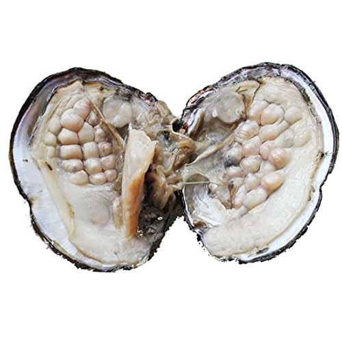 Oyster Pearl Freshwater Cultured Oval Pearl Beads 6-7mm Oysters With Pearl Inside Freshwater Oysters for DIY Necklace 18-20 Pearls