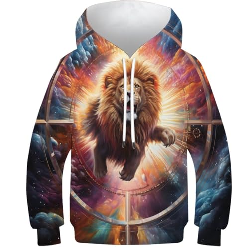 Sweat chaud enfant motif Lion 3D fini les pulls d'hiver irritants