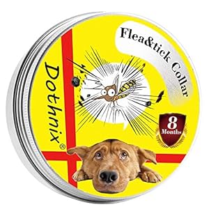 dothnix Collar Antiparasitos Antipulgas para Perros Gatos contra Pulgas,Garrapatas y Mosquitos,8 Meses,Tamaño Ajustable e Impermeable para Mascota Pequeño Mediano Grandes(55cm)