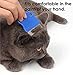 Patty Both Dog Cat Pet Lice &Flea & Nit Removal Comb/Brush, Precision Spaced Stainless Steel Teeth Locked into Sturdy Plastic Handle for Easy Cleaning(Blue)
