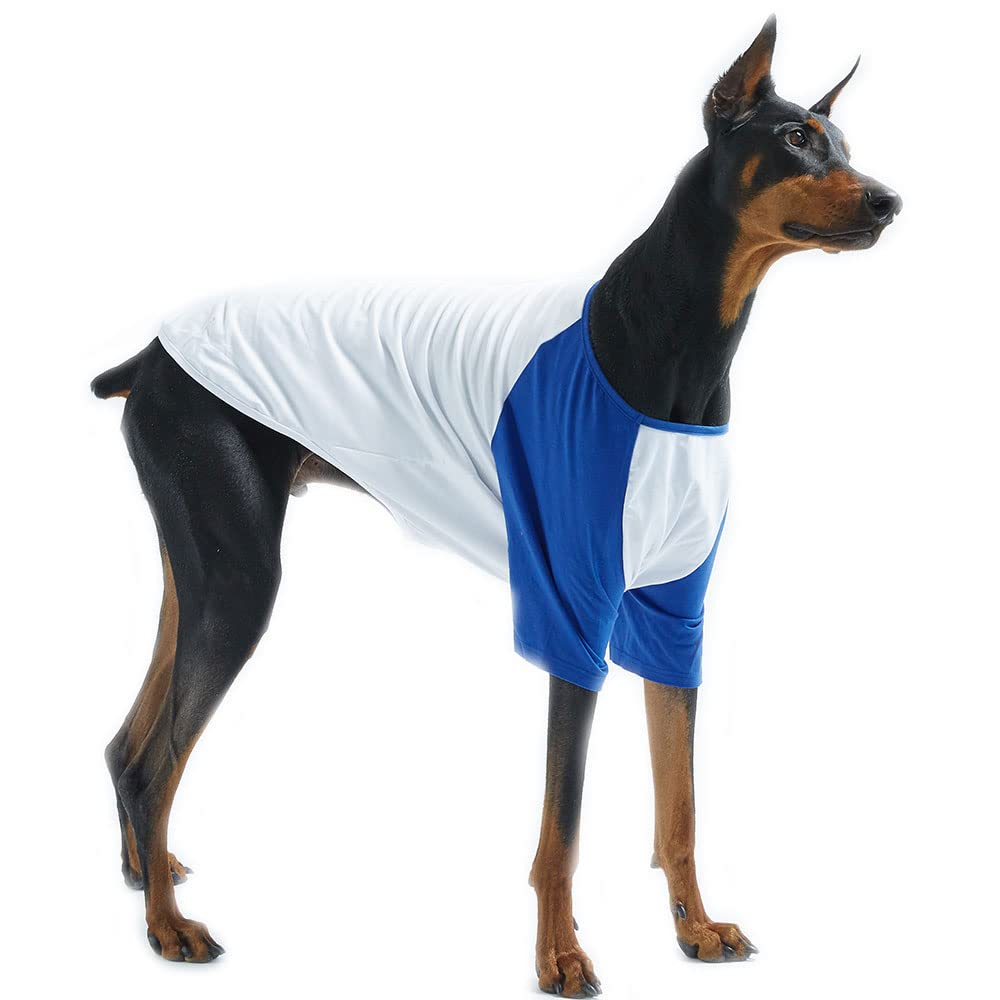 Ropa para mascotas para perro gato cachorro raglán camisetas duraderas y elásticas para perros (4XL, blanco/azul)