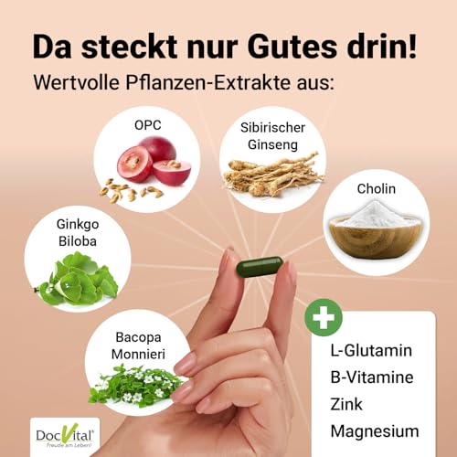 DocVital® Ginkgo Biloba & Ginseng hochdosiert - 60 Kapseln - Focus & Konzentration Kapseln mit Bacopa (Brahmi) - Gehirn Vital Komplex - Brain Booster, Gedächtnis & Gehirnleistung