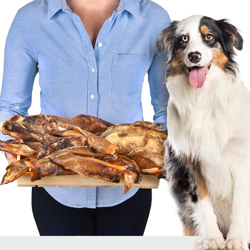 Lovely Dog | Rinderknorpel für Hunde 1kg (ca.1520 Stück) | Natürlicher Kausnack aus 100% Rind | stärkt Gelenke & Zahnpflege | getreidefrei & ohne Zusatzstoffe