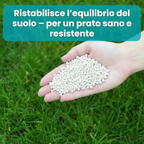 Lerava® Revive - Calcare Per Prato Premium – Trattamento Naturale Per Un Prato Verde E Sano, Riduce Il Muschio E Regola Il Ph Del Suolo, Facile Da Applicare, Effetto Rapido E Duraturo - 9 Kg Sacco - 6